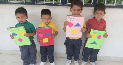 Bagless Day Activity Shapes
