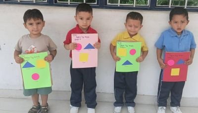 Bagless Day Activity Shapes