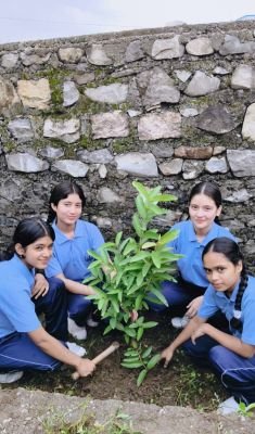 Event -Harela Plantation Drive 2026-27