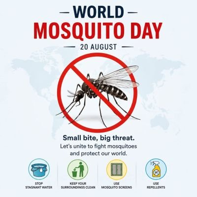 World Mosquito Day -